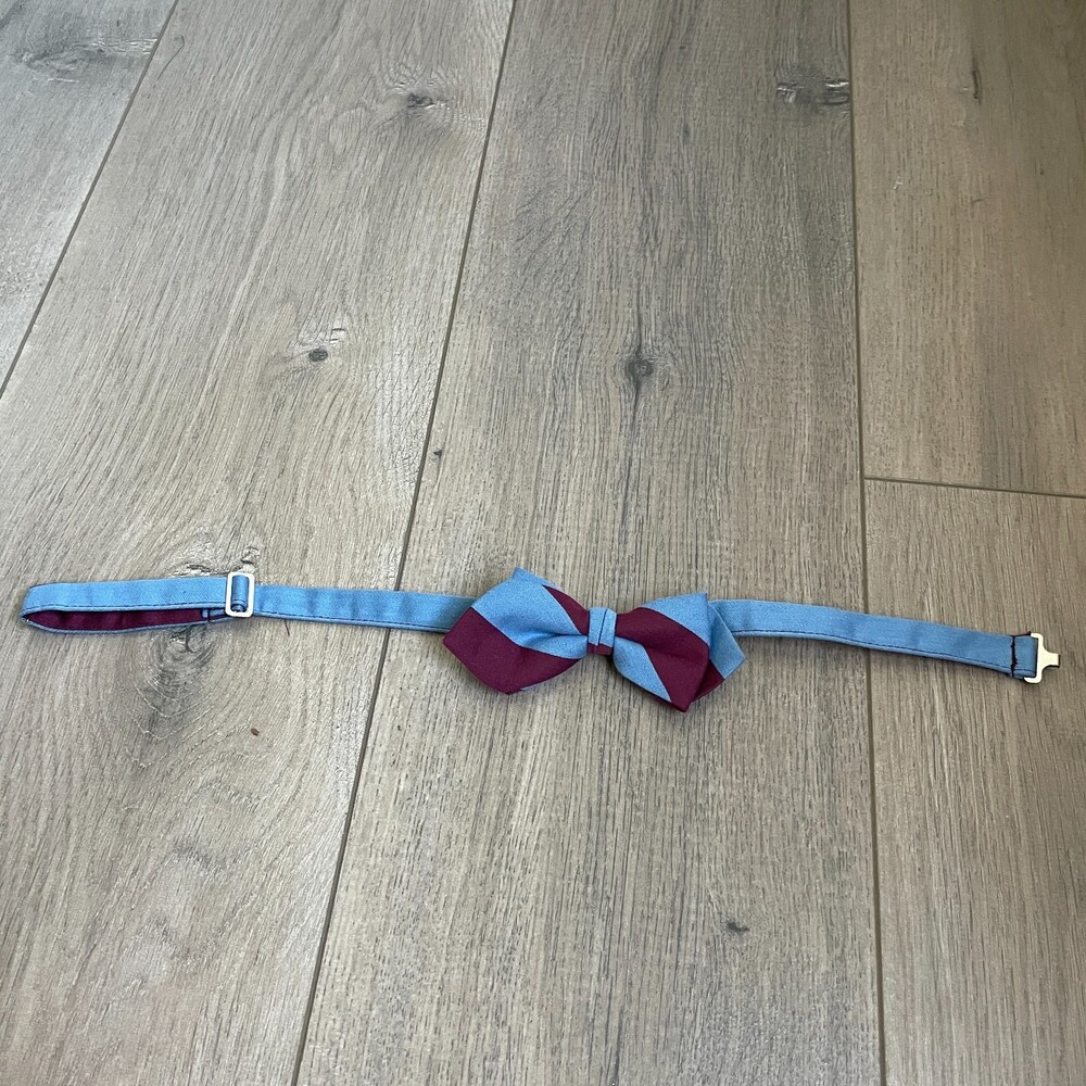 Blue striped bowtie